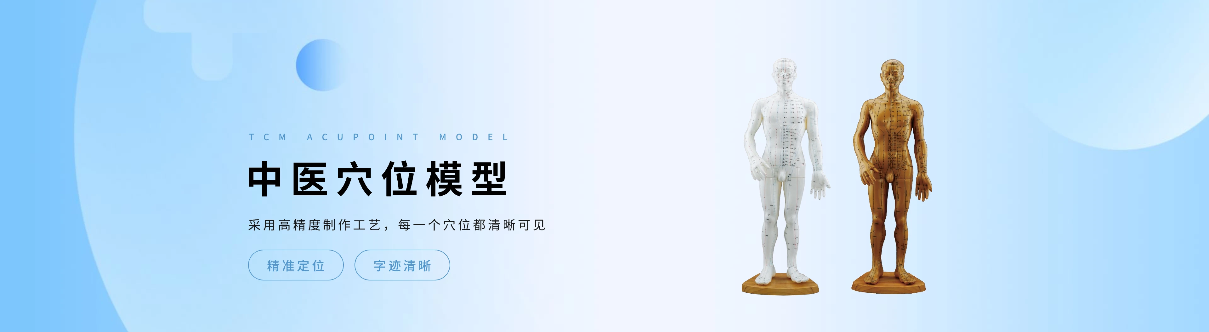中医穴位模型