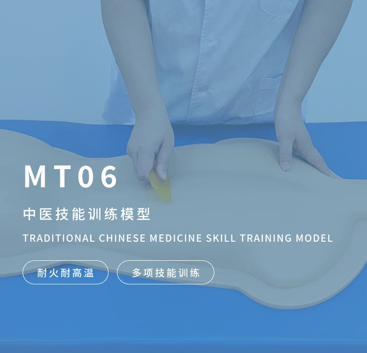 中医技能训练模型