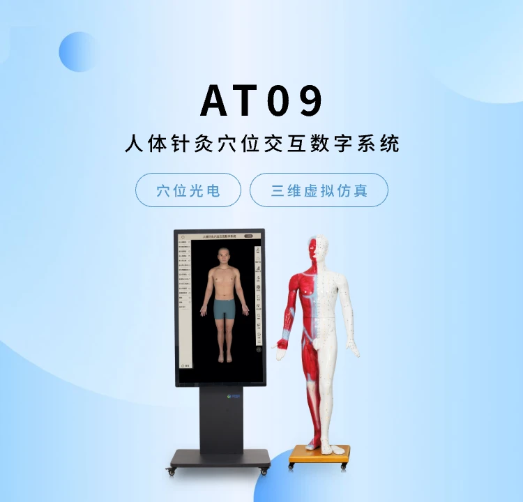 人体针灸穴位交互数字系统