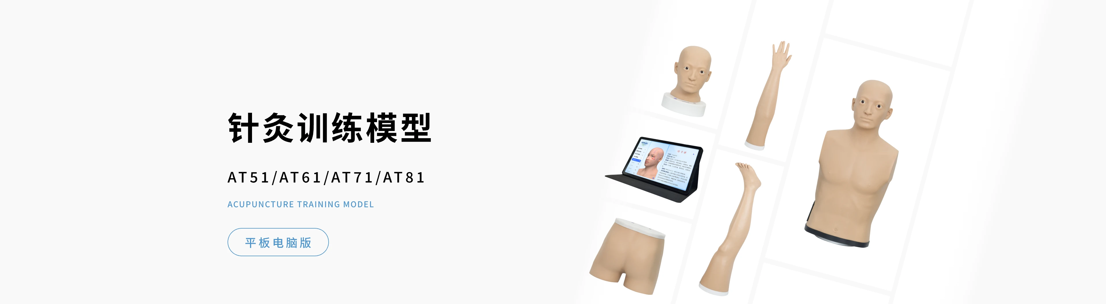 中医针灸训练模型-头部 （平板版）