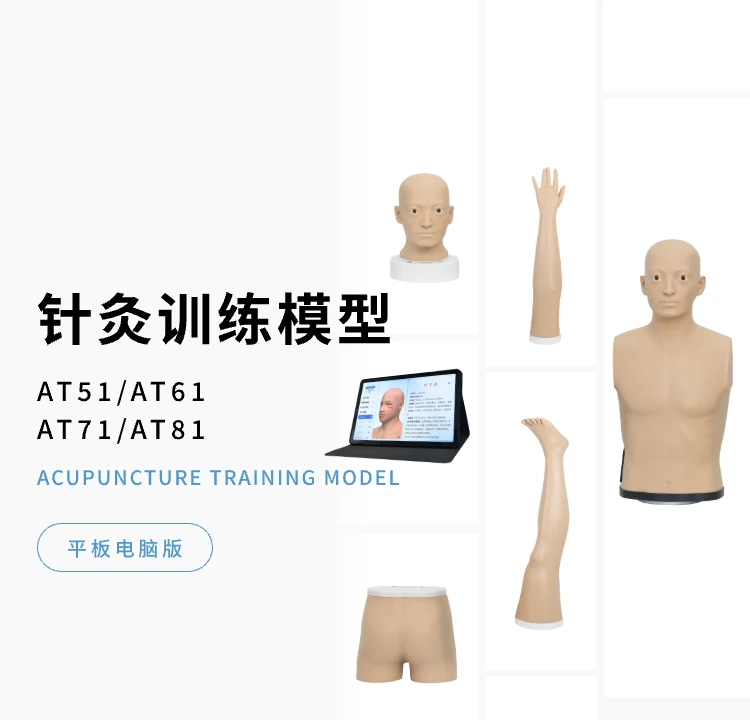 中医针灸训练模型-头部 （平板版）