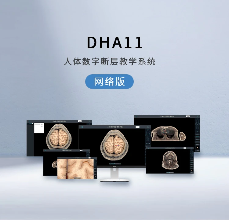 人体数字断层教学系统