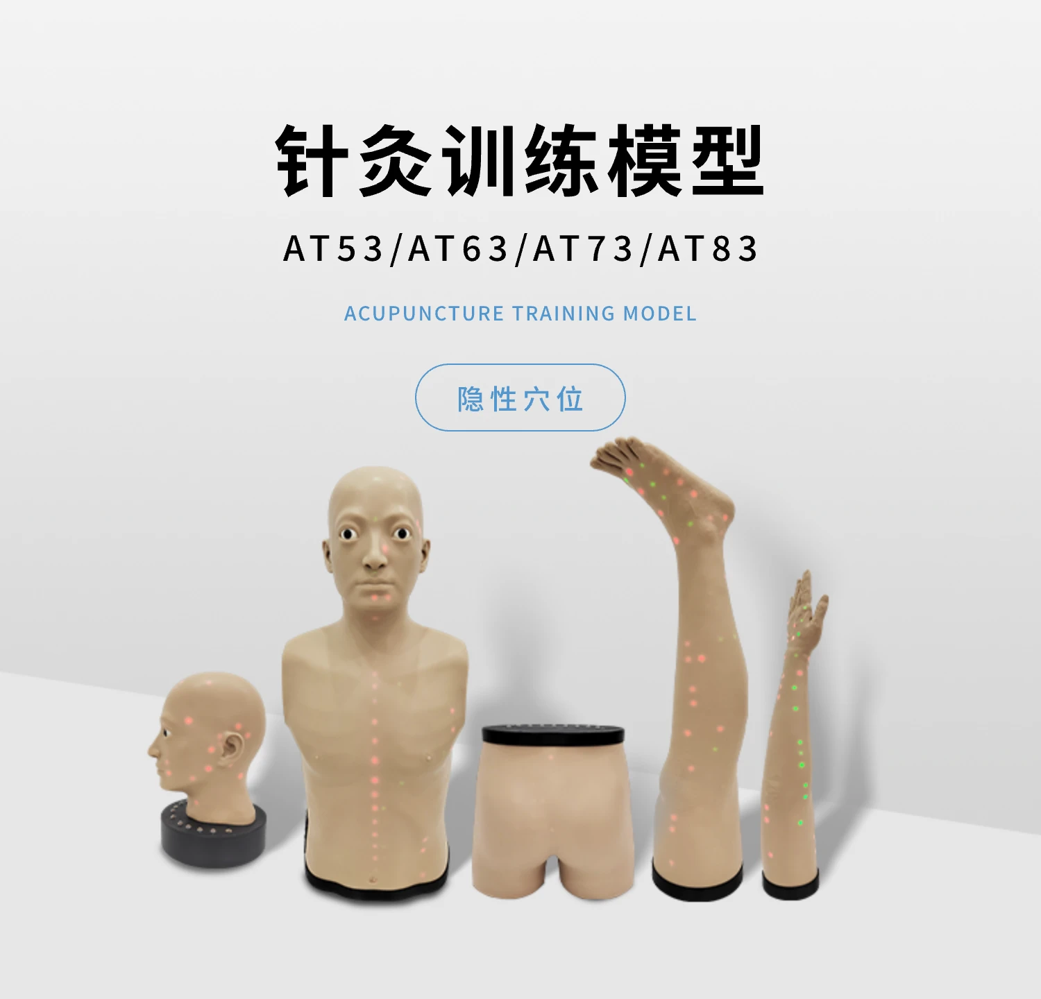 针灸训练模型